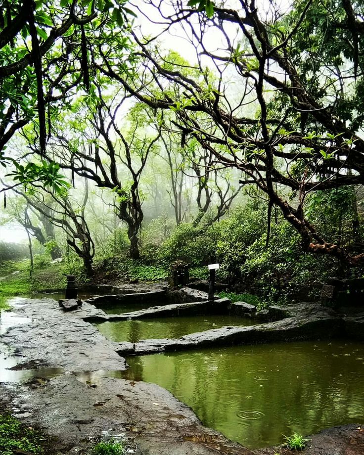 Heritage trek through Raigad district's historic Maratha landscape